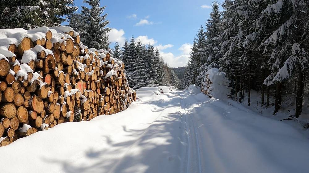 Běžkařská stopa v Lužických horách